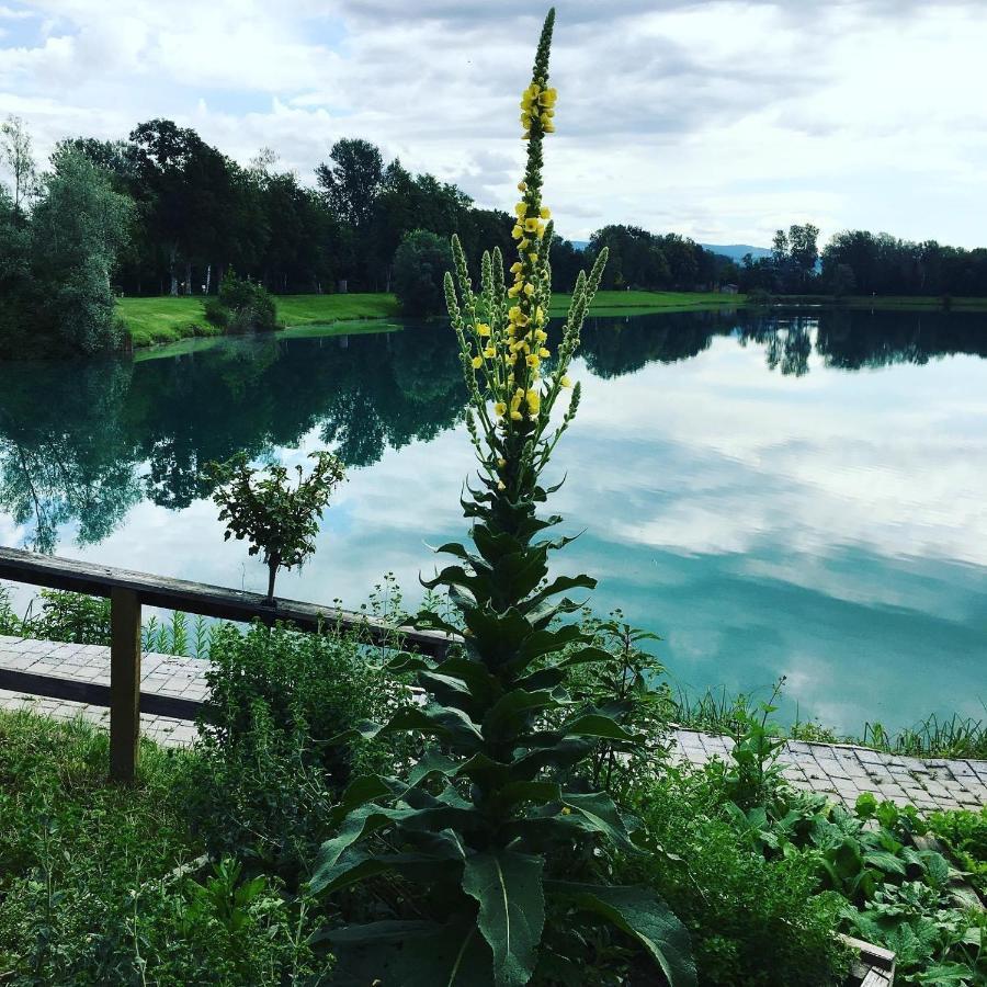 Heurigenbar Διαμέρισμα Feldkirchen an der Donau Εξωτερικό φωτογραφία